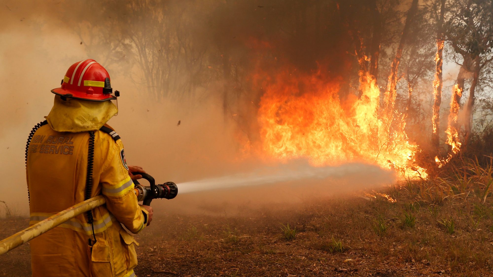 fireman distinguishing bush fire